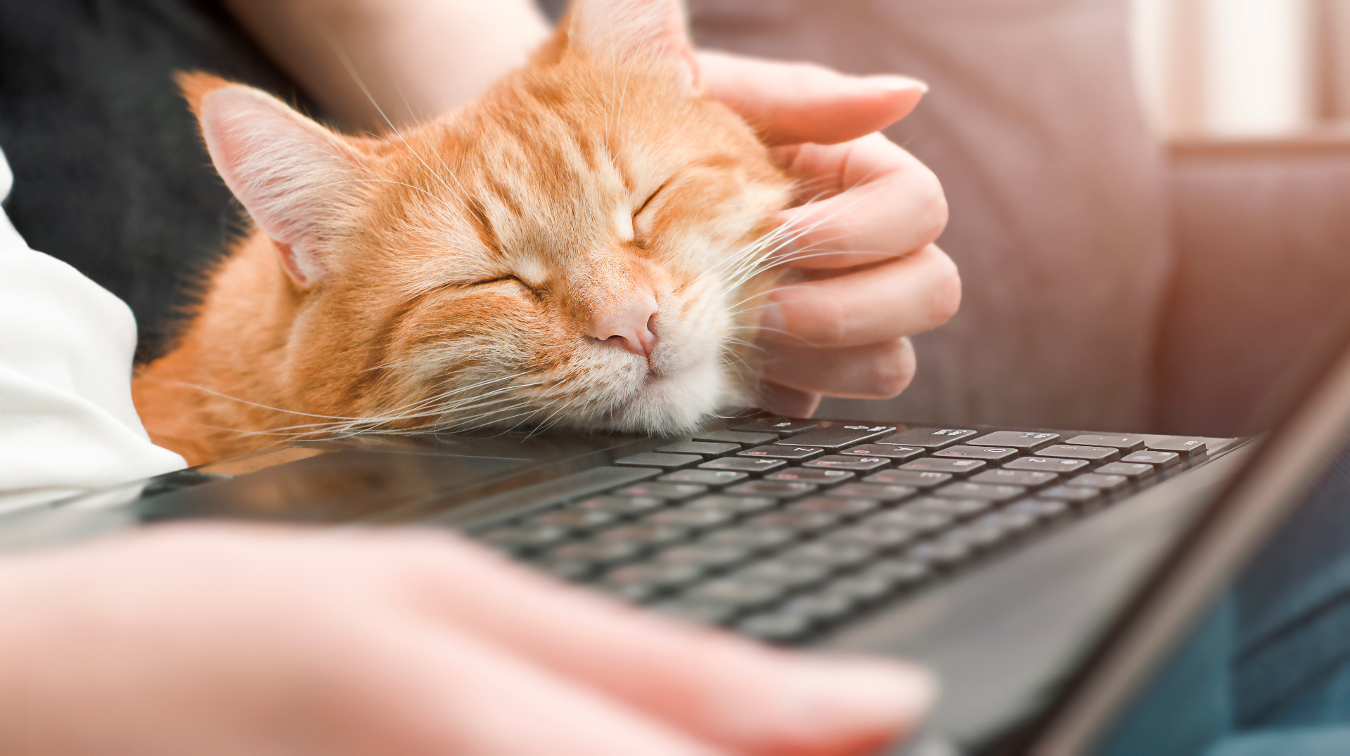 Why Your Website Dropped From Page One to Page Five on Google